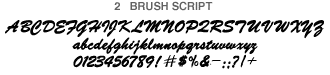 brush_script