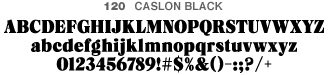 caslon_black
